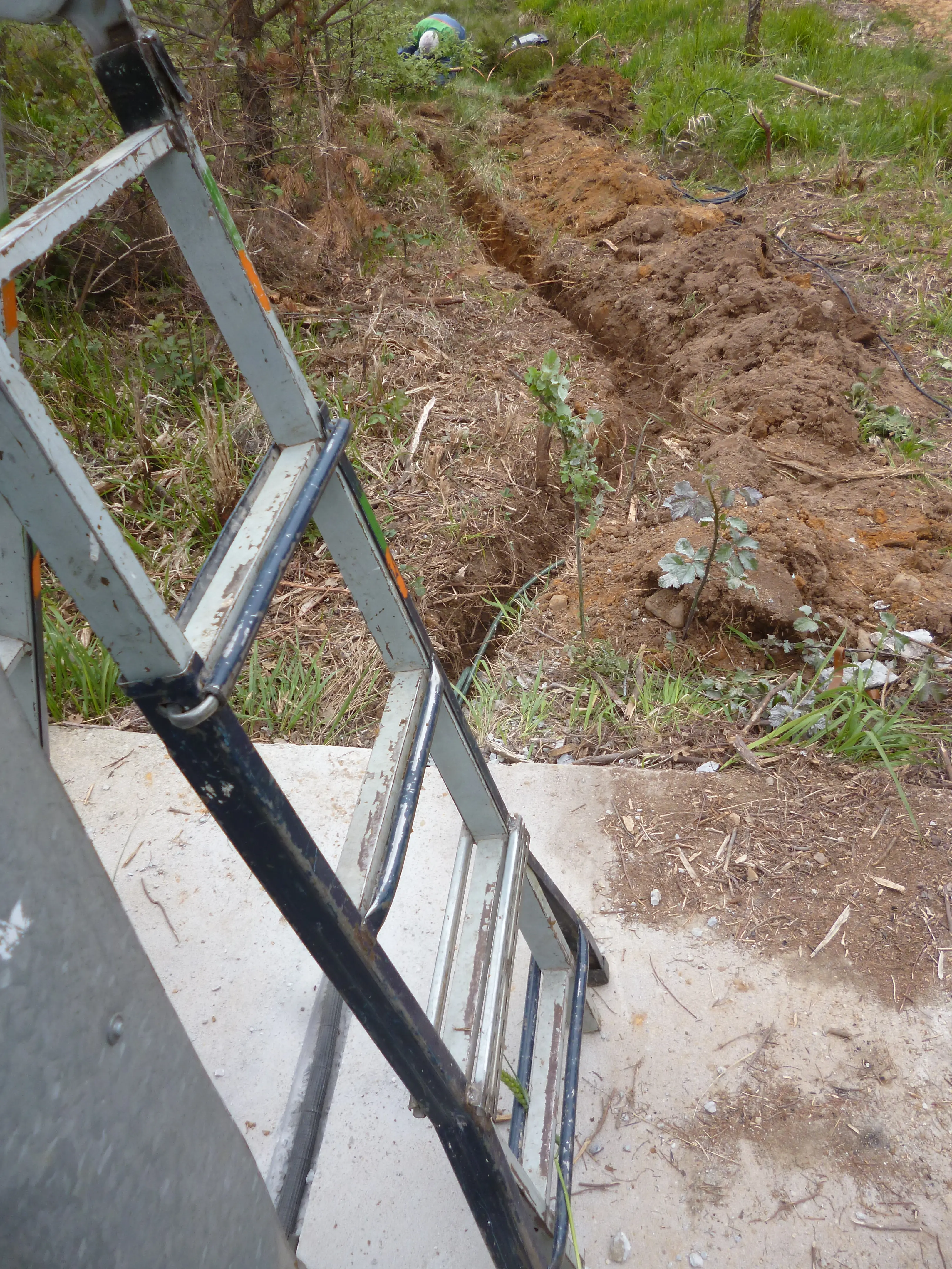 Estudios y proyectos - Andrés y Lajo (2/4)